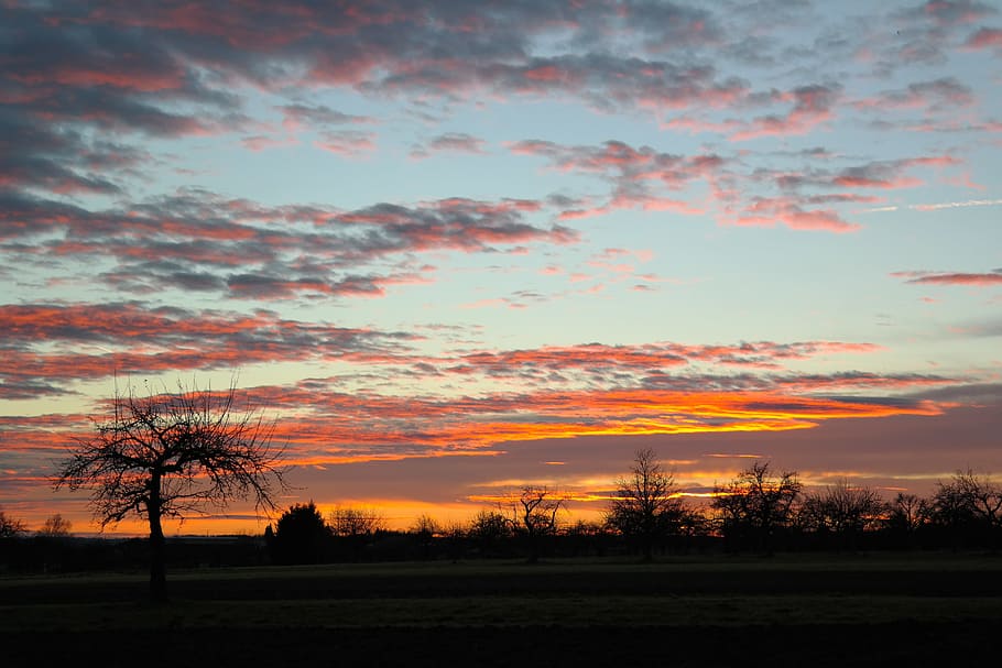 Sunset, Orchard, Apple Tree, swabian alb, evening sky, clouds HD wallpaper
