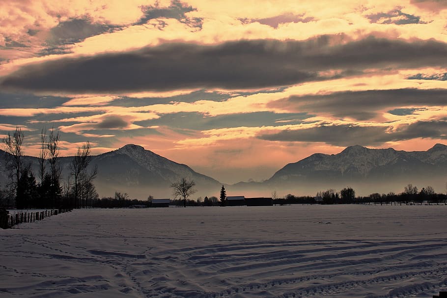 open field during golden hour, magic, winter, wintry, snow HD wallpaper
