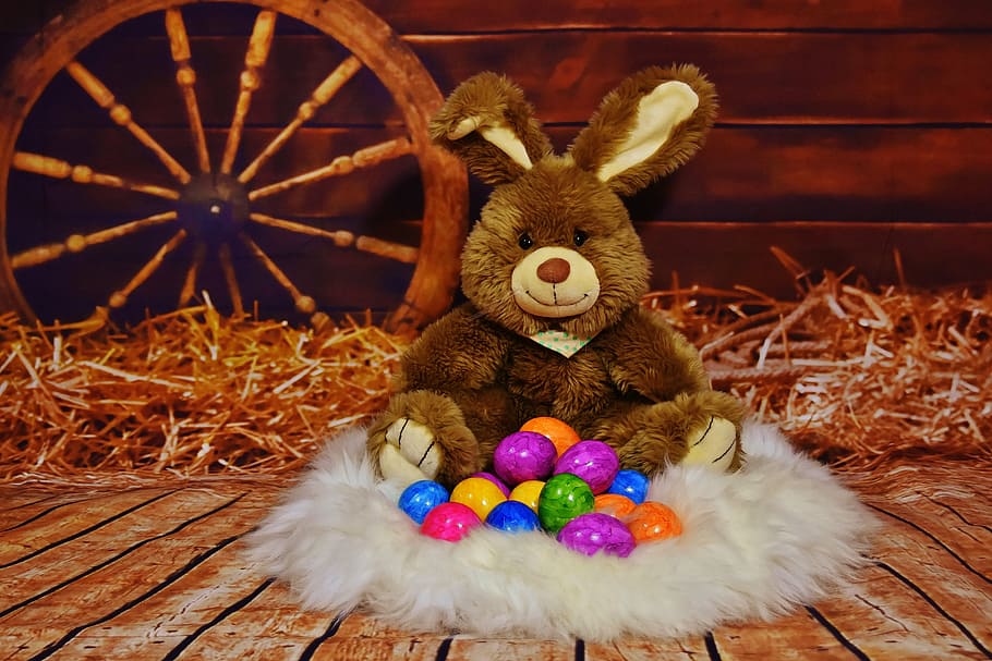 Easter Bunny plush toy set placed on brown wooden floor, egg HD wallpaper