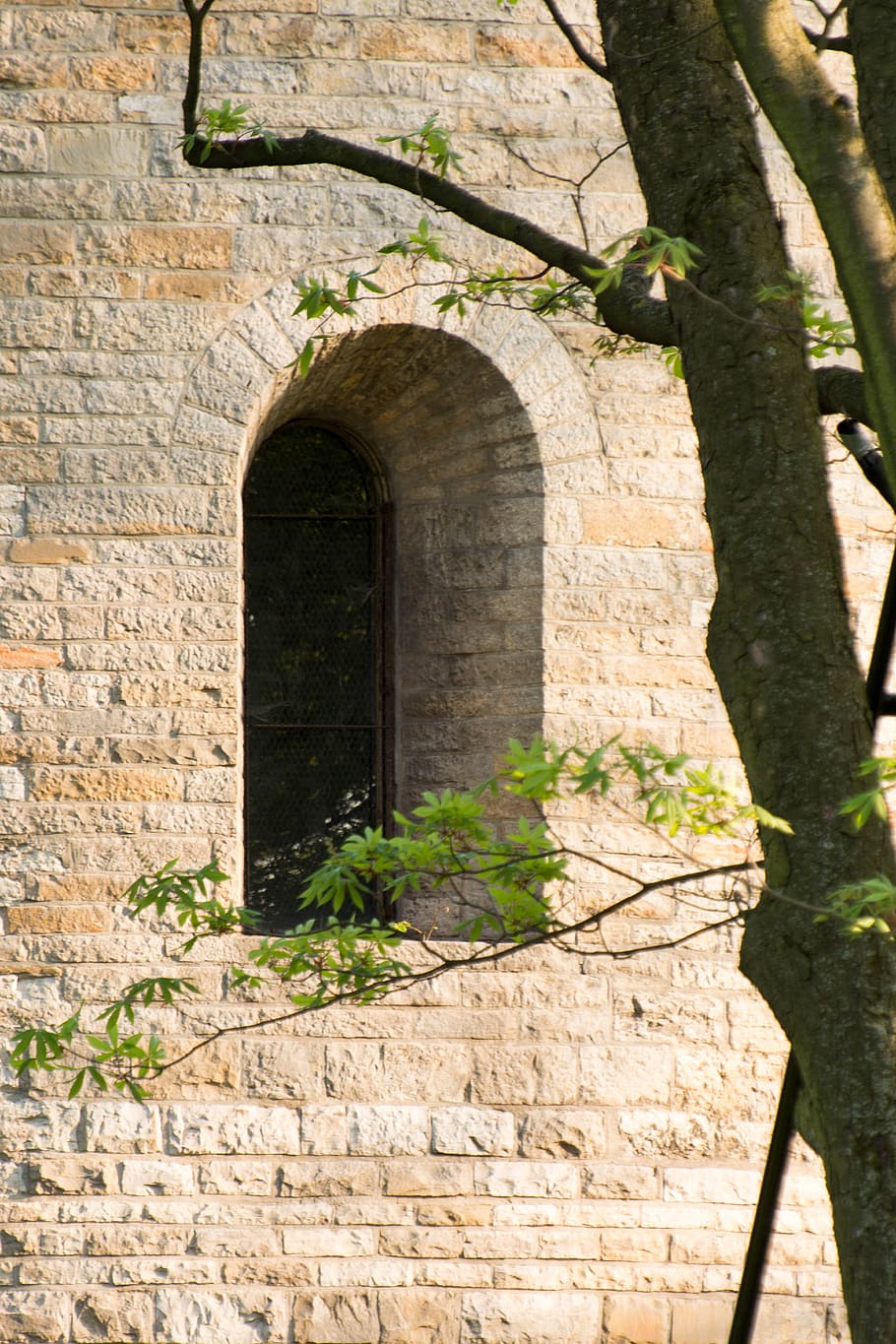 architecture, ancient, built structure, history, the past, building exterior HD wallpaper