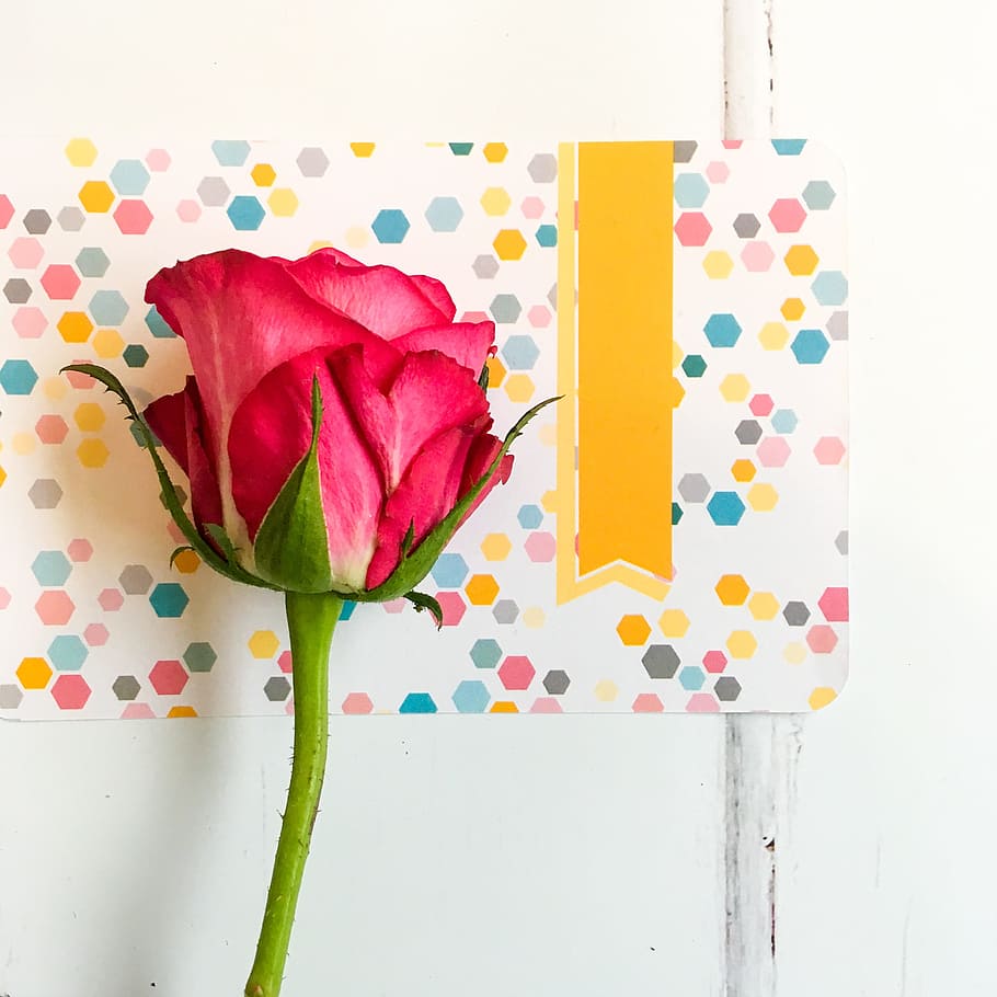 red, roses, flower, craft, card, indoors, still life, no people HD wallpaper
