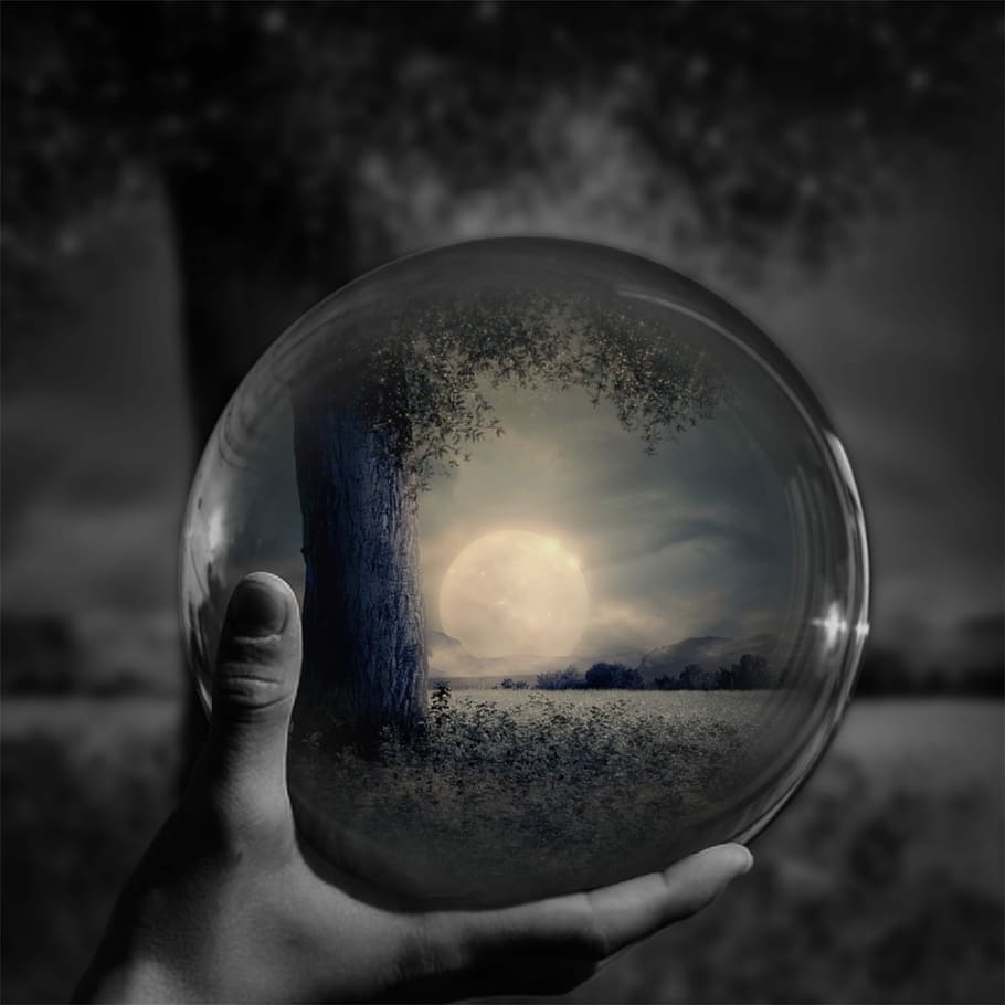 clear glass ball, moon, sphere, forest, black and white, human hand HD wallpaper