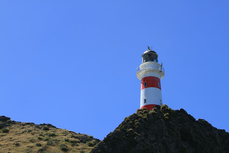 white and red lighthouse under clear blue sky, cape palliser lighthouse