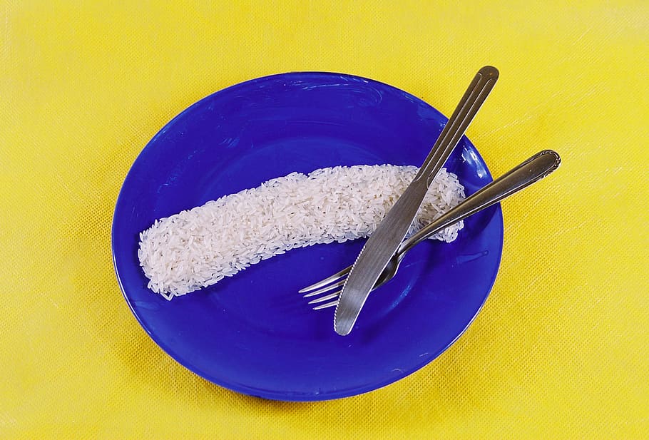 rice, plate, fork, knife, brazil, flag, blue sauce, brazilian flag HD wallpaper