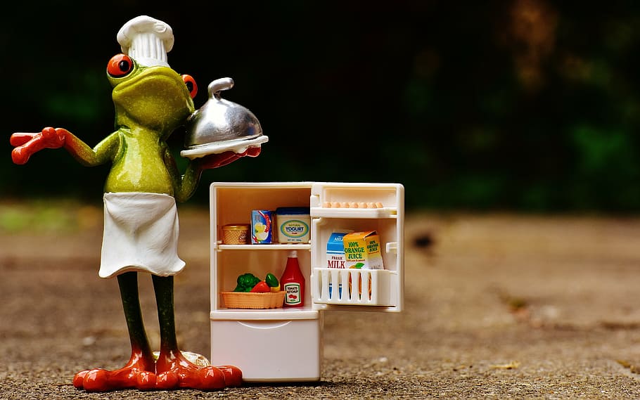 frog beside refrigerator figurine, cooking, figure, supplies