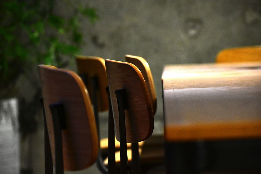 selective focus photography of brown wooden chairs, table, office HD wallpaper