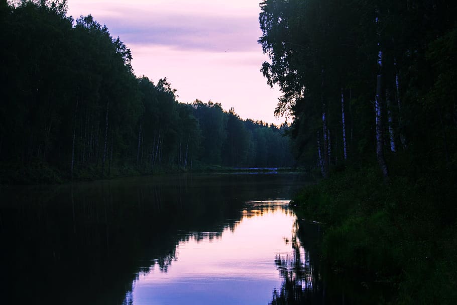 Forest, River, Russia, Trees, Water, landscape, summer, nature HD wallpaper
