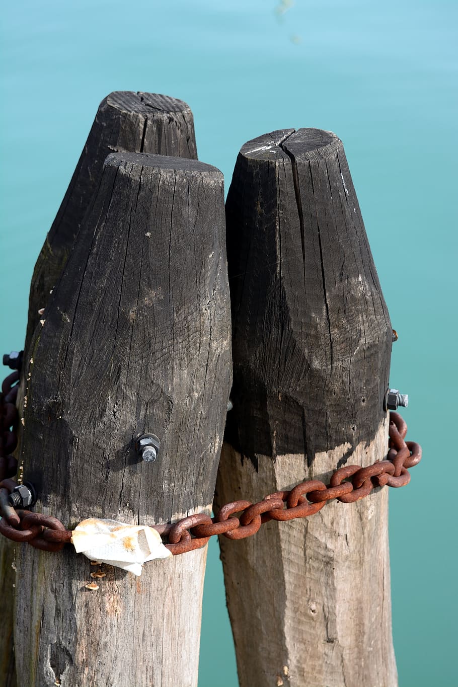pier, kai, port, wood - material, nature, day, close-up, no people HD wallpaper