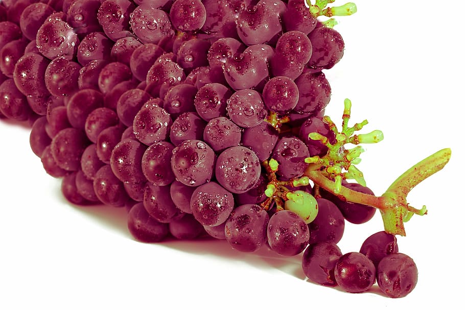 grape, red grape, fruit, clusters, food, picture, food and drink HD wallpaper