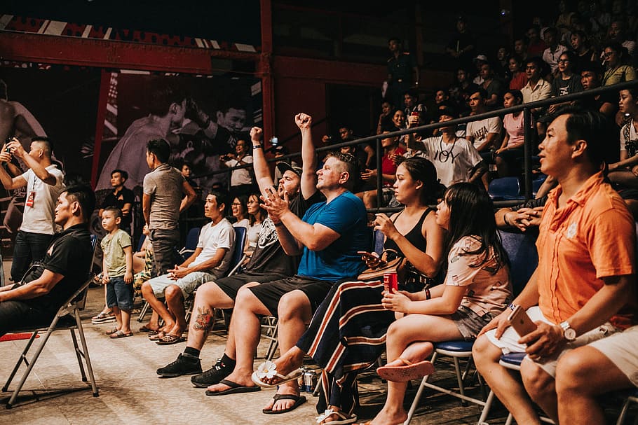 people, sitting, crowd, watching, audience, cheering, enjoyment HD wallpaper