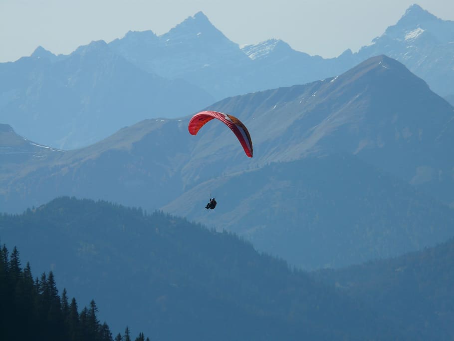 person in parachute above trees during daytime, Paraglider HD wallpaper