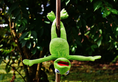 Kermit the Frog plush toy hanged on wooden stick outdoors, pole dance HD wallpaper