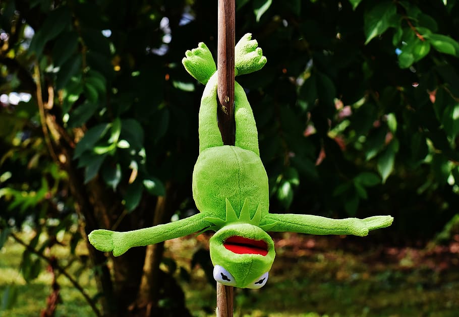Kermit the Frog plush toy hanged on wooden stick outdoors, pole dance