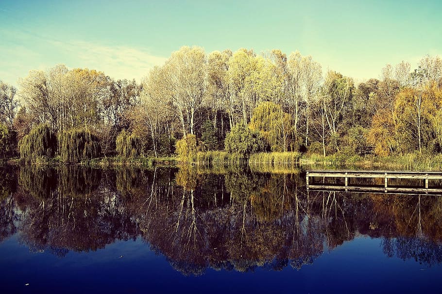 reflection, nature, lake, waterfront, landscape, trees, water surface HD wallpaper
