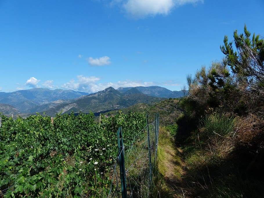 Away, Trail, Liguria, ligurian mountain trail, alta via dei monti welcomed, HD wallpaper