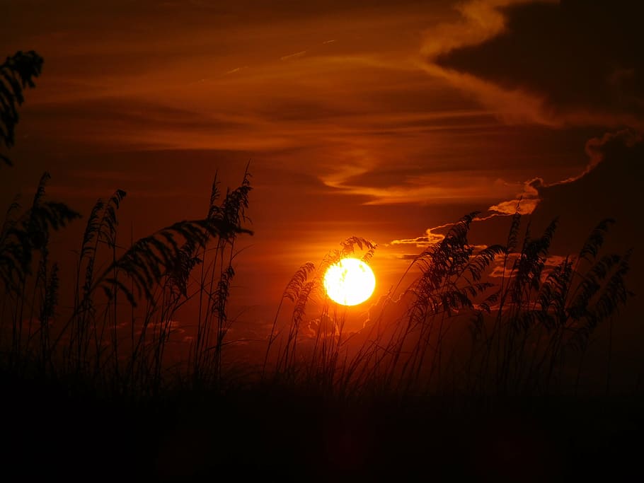 sunset, evening, sky, sunset sky, sunset beach, sunlight, beauty in nature HD wallpaper