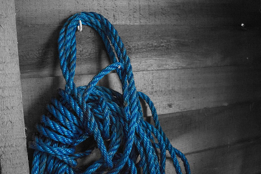 blue, rope, barn, cowboy, cord, blue rope, shed, rough, lasso