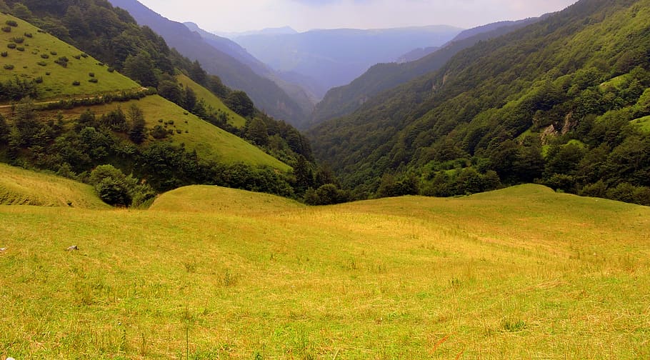 Valle, Prato, Mountain, Green, Landscape, val fraselle, veneto HD wallpaper