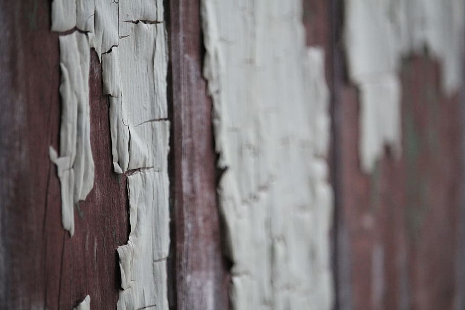 paint, wood, aged, texture, old, wooden, timber, surface, grain HD wallpaper