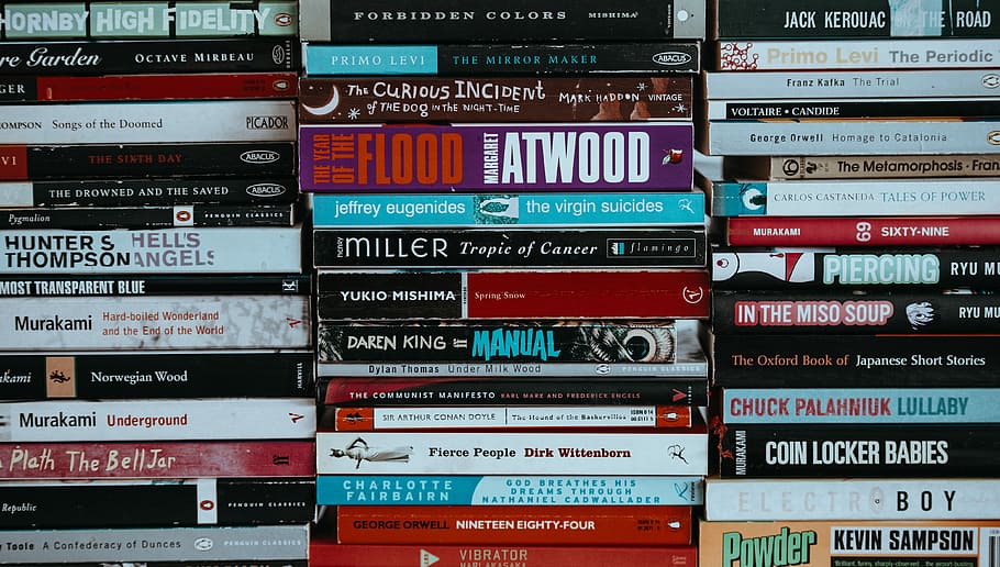 Landscape shot of piles of books, assorted-title book lot, stack HD wallpaper