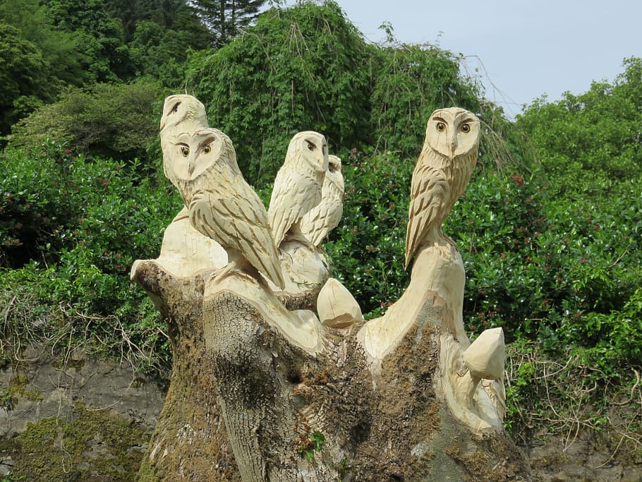 carved owls, wise, wood, carving, wisdom, nature, beak, bird