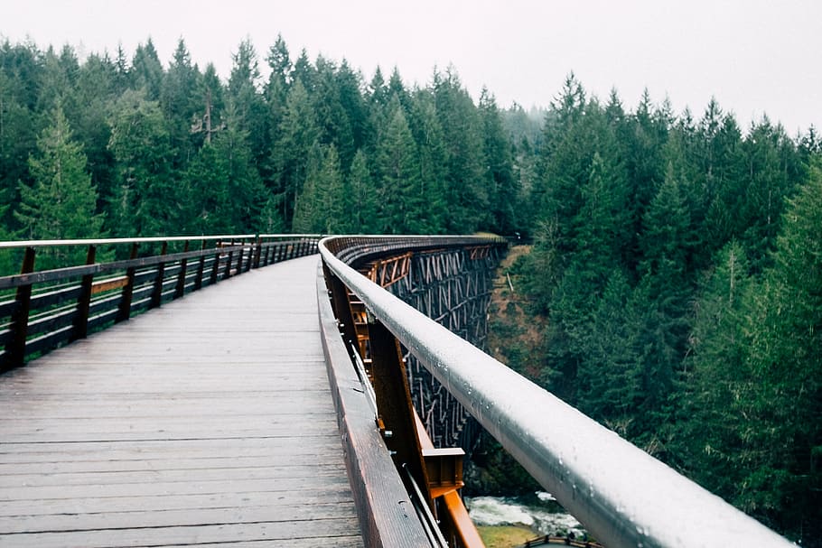 bridge, forest, pine trees, sky, nature, railroad Track, transportation HD wallpaper