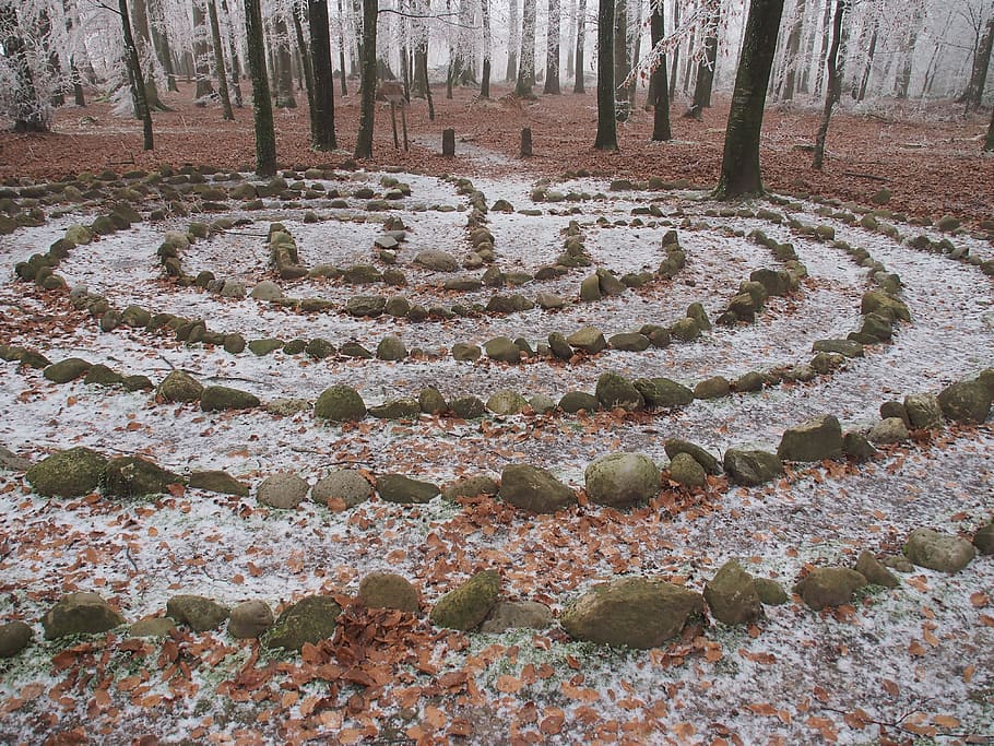 Forest, Winter Time, Labyrinth, Nature, meditation, away, center HD wallpaper