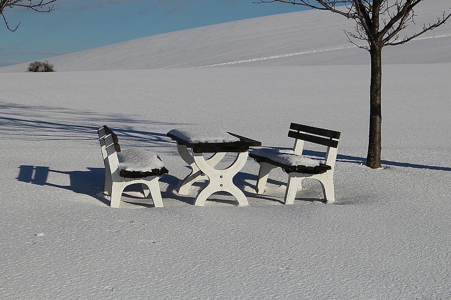 wintry, snow, snowy, winter, nature, land, day, no people, tree HD wallpaper