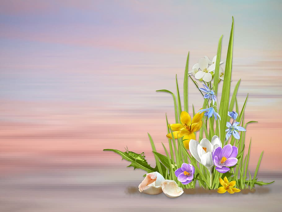 HD wallpaper Early Spring Landscape spring view spring pics spring  photo  Wallpaper Flare