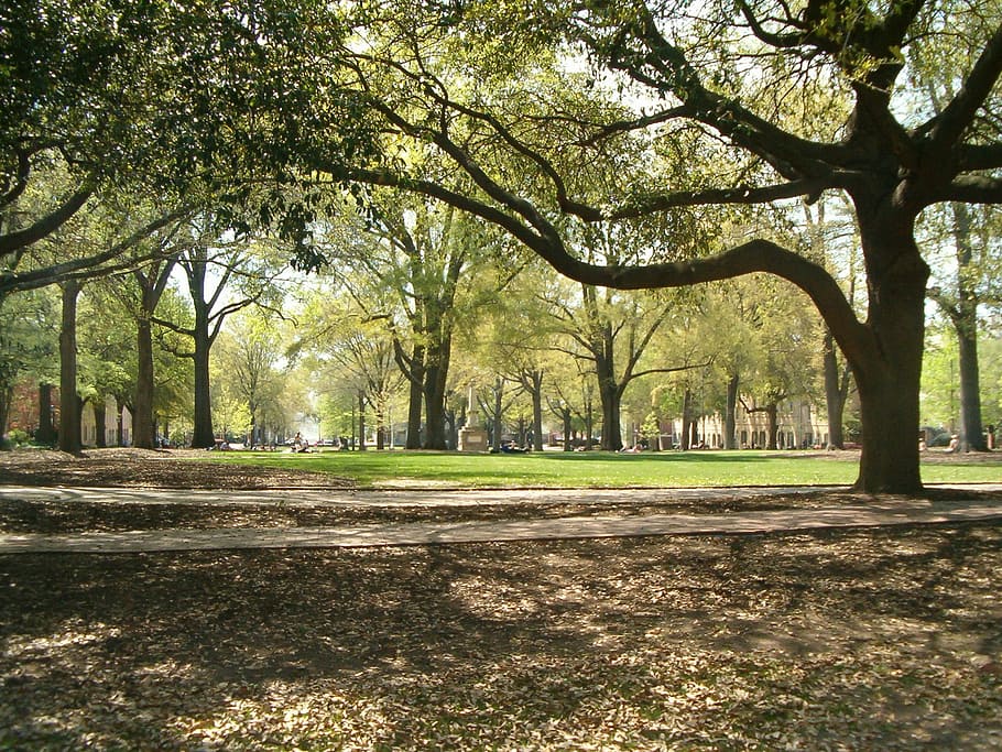 HD wallpaper The horseshoe at the University of South Carolina in