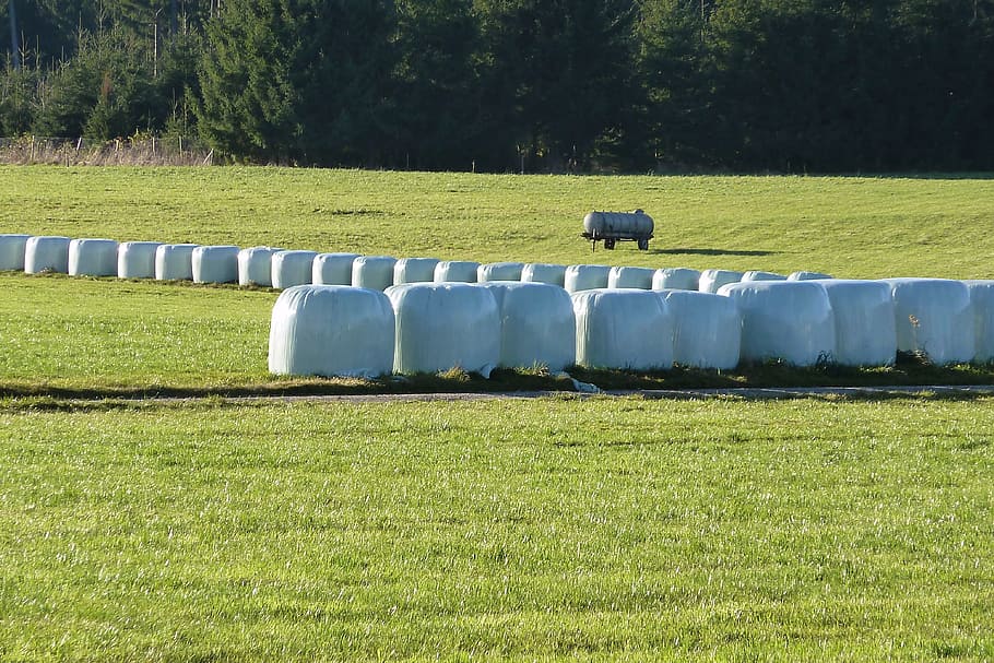 silage, food, agriculture, cattle feed, feed stock, hay, plastic, HD wallpaper