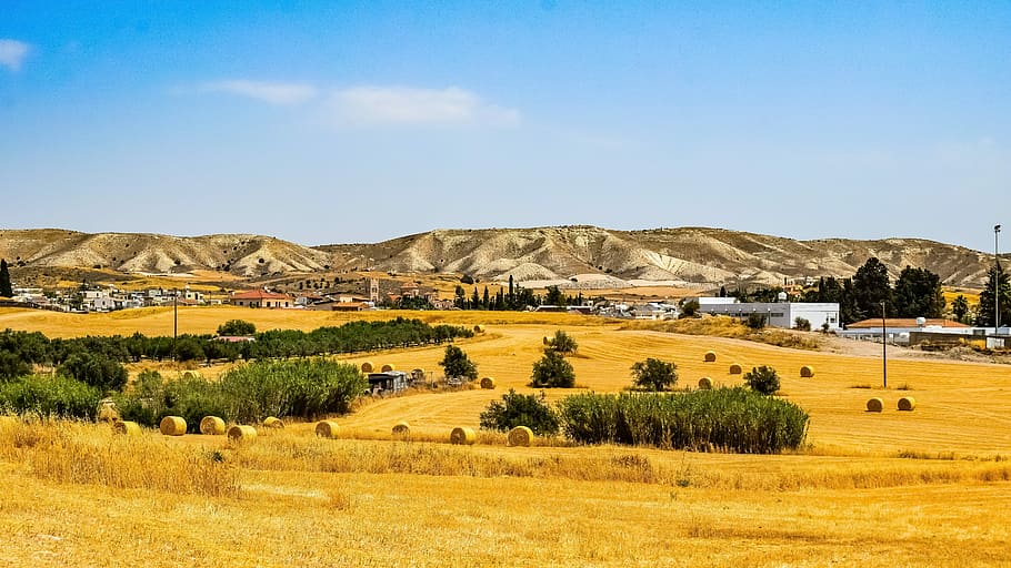 landscape photo of houses on near hill, nature, panoramic, sky HD wallpaper