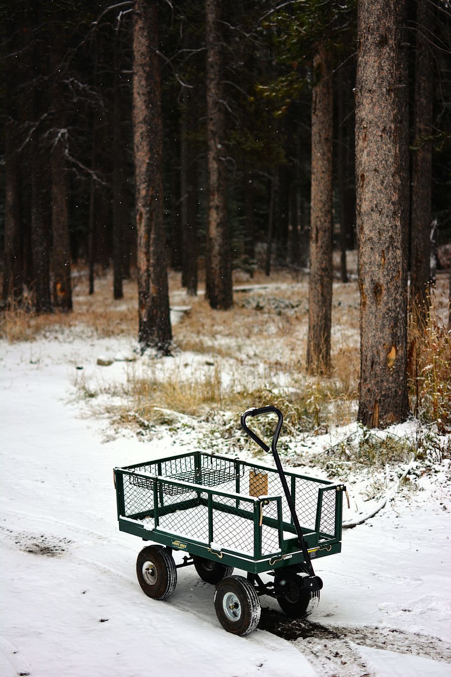 green and black metal pull wagon on white snow, green steel wagon under brown trees HD wallpaper