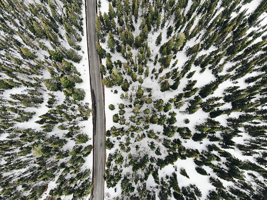 aerial photography of road and snow covered trees, bird's eye view photo of road between trees HD wallpaper