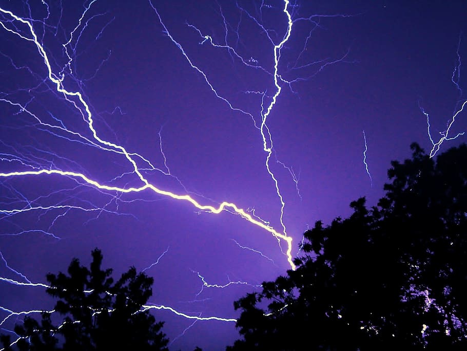 silhouette of trees during night time with thunder, lightning HD wallpaper