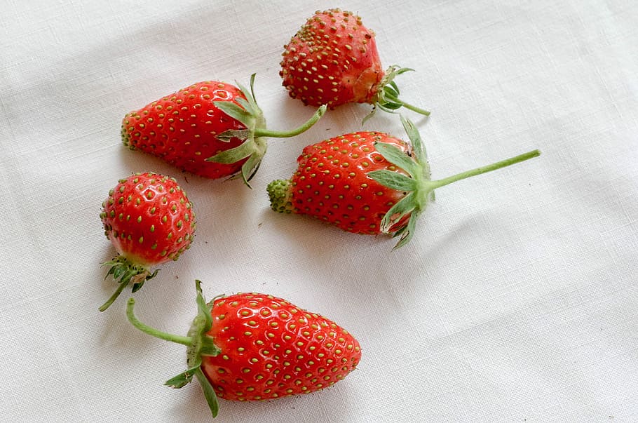 Strawberries, Fruit, Dessert, red, red fruits, costs, eat, strawberry HD wallpaper