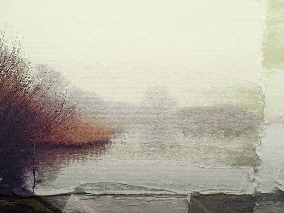 Lake, Paper, Veiling, Old, Bank, Nature, water, reed, landscape HD wallpaper