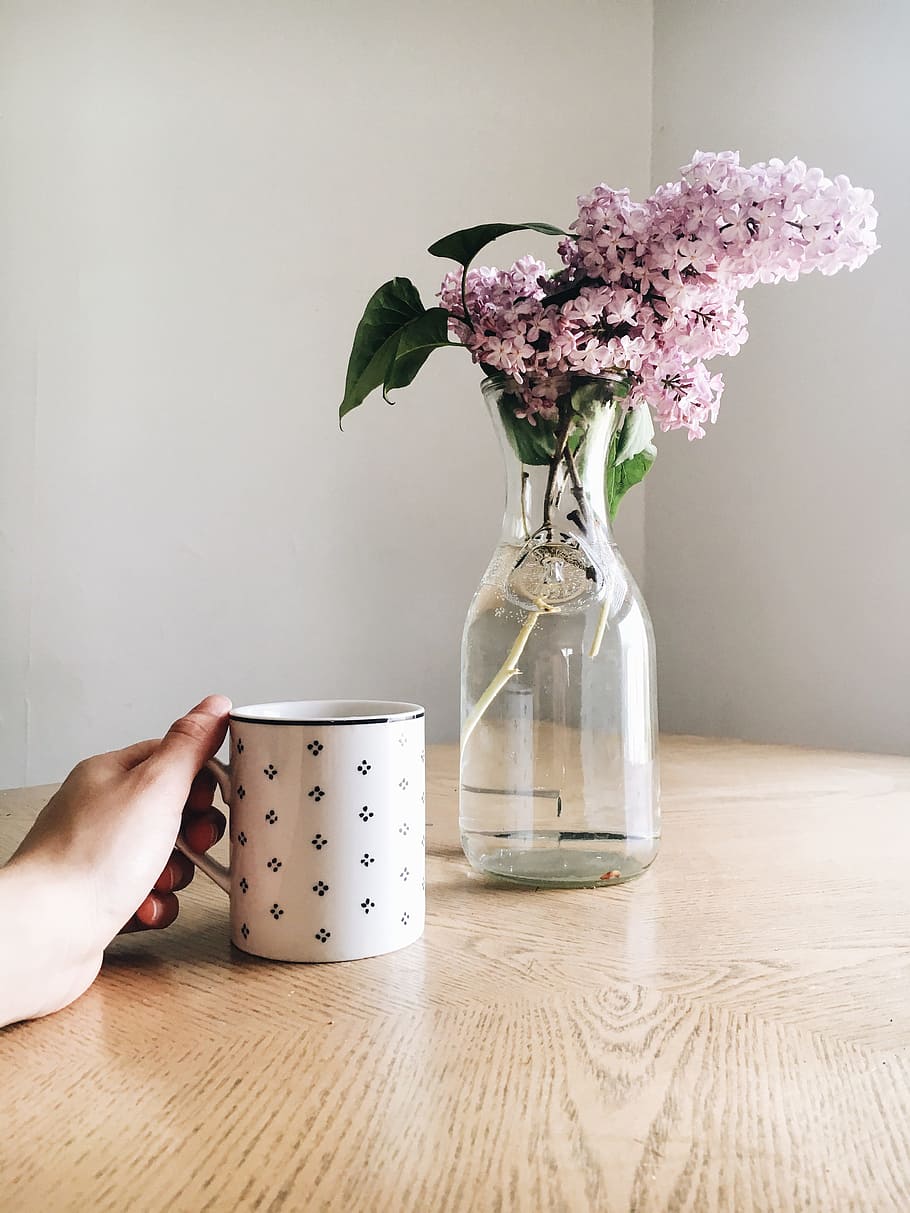 pink flower on clear glass vase, display, water, jar, mug, cup HD wallpaper