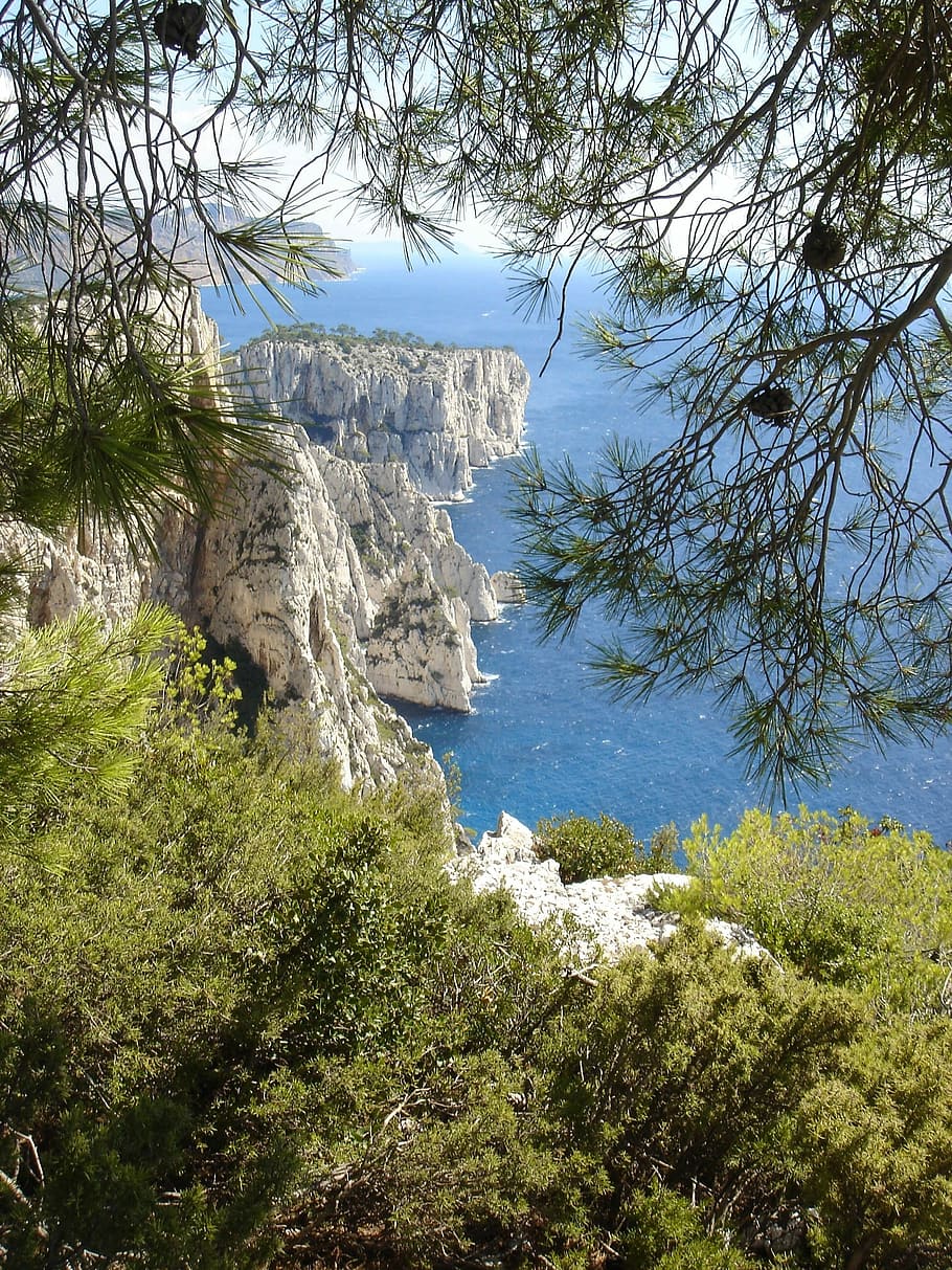Cove, Sea, Tree, Nature, cliff, side, rocks, vegetation, water HD wallpaper