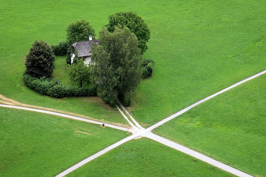 aerial view photography of gray house surrounded by green leaf trees at daytime, HD wallpaper