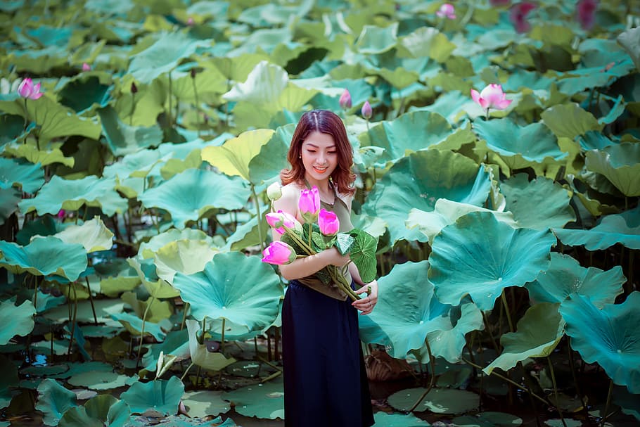 woman carrying pink lotus flowers standing near flower field during daytime, HD wallpaper