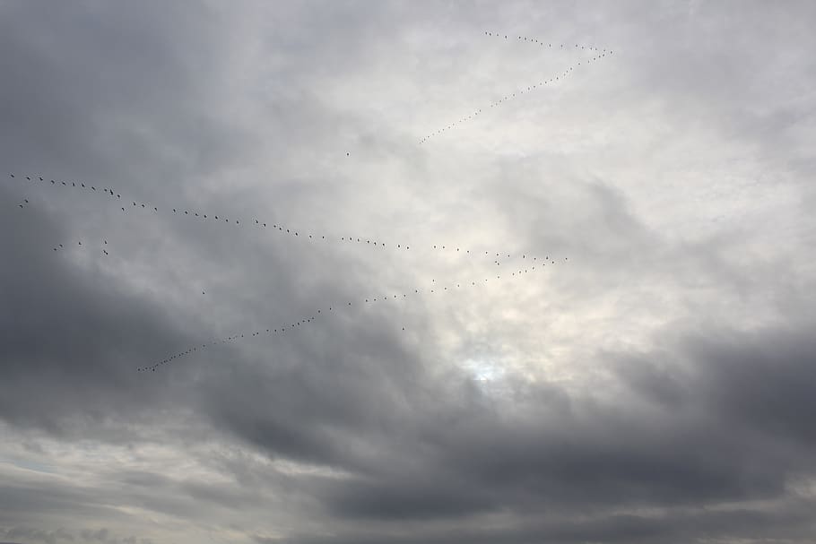 sky, cloud, clouds, landscape, nature, weather, atmosphere HD wallpaper