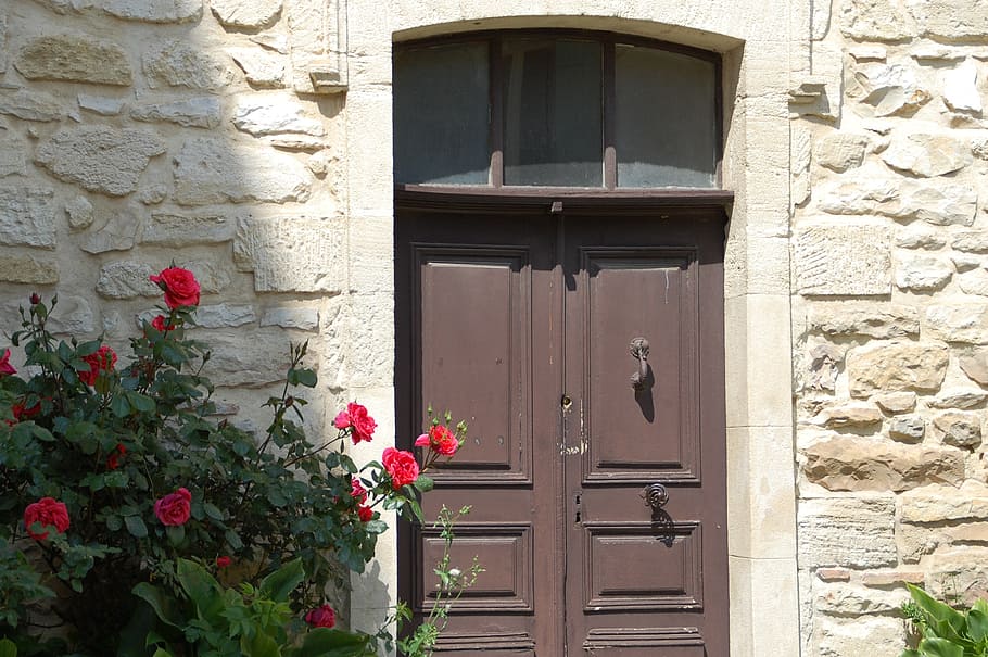 brown wooden door near red roses, house, entry, building exterior HD wallpaper