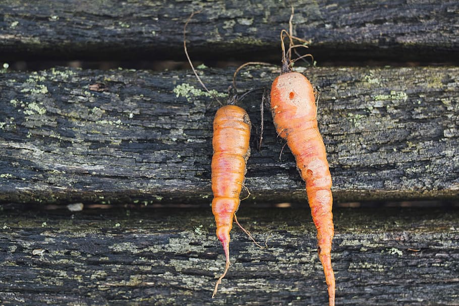 two red carrots, closeup photo of two carrots on wooden floor HD wallpaper