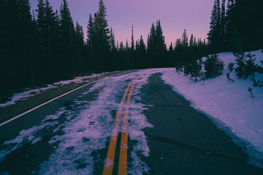 road with snow surrounded of trees, road coated with snow, ice HD wallpaper