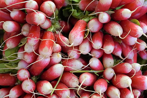 radishes, fruit, vegetables, eat, food, market, sale, service HD wallpaper