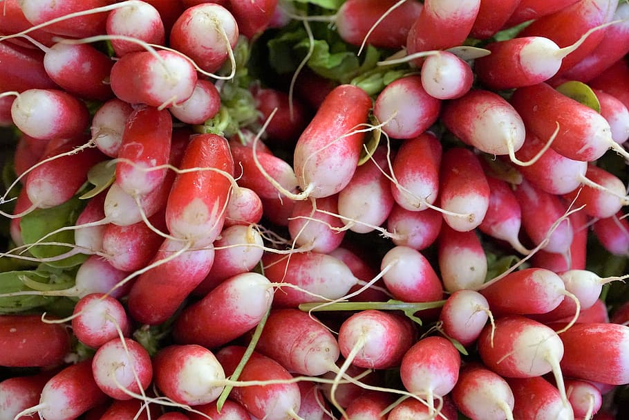 radishes, fruit, vegetables, eat, food, market, sale, service HD wallpaper