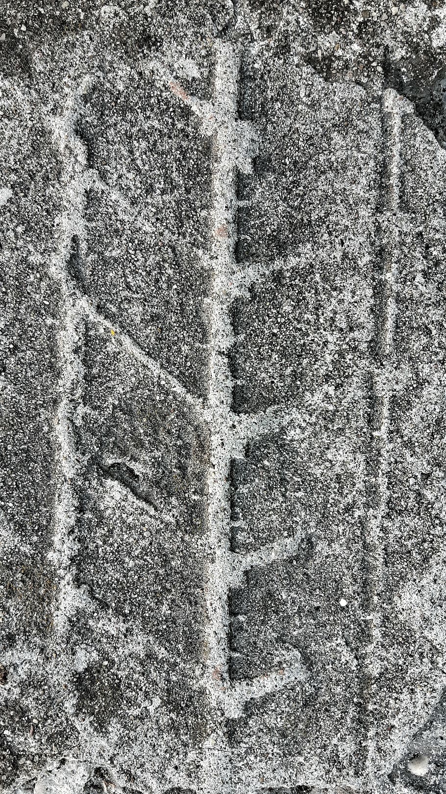asphalt, texture, cement, footprint, gray, wheel, full frame HD wallpaper