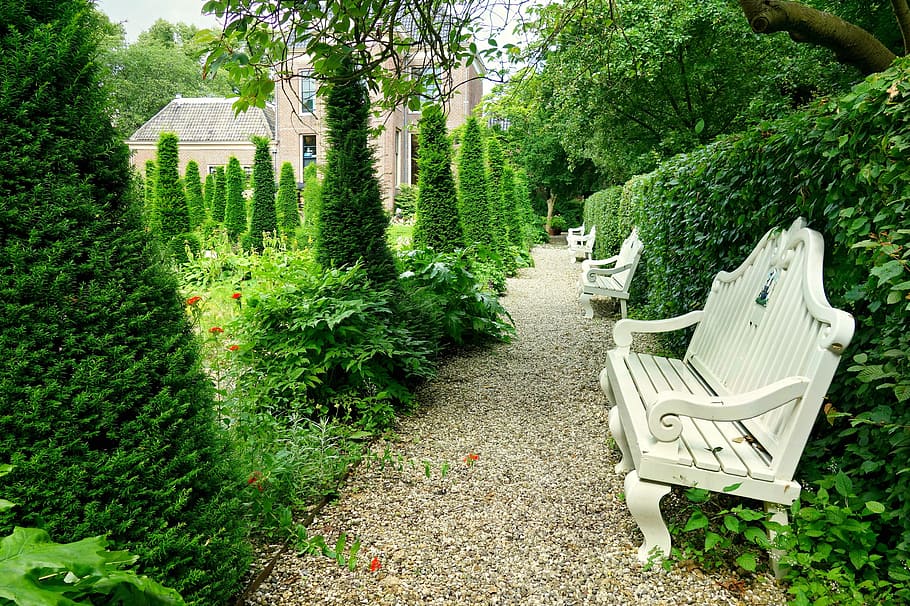white wooden benches on pathway beside plant topiaries, Bench, Seat