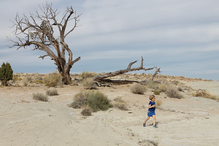 desert, tree, landscape, outdoor, jericho tree, child, walking HD wallpaper